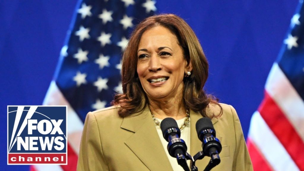 ‘NOT SURPRISED’: Harris criticized over ads with two different messages on Middle East