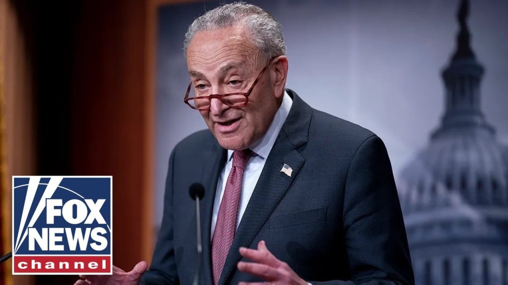 Schumer called out for ‘petty’ move targeting incoming Republican senator