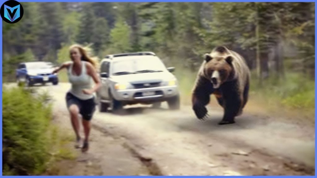 When Bears Go On A Rampage Caught on Camera!