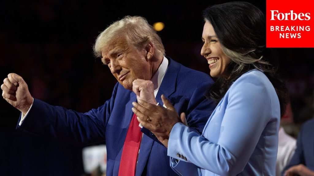 BREAKING NEWS: Tulsi Gabbard Wins Backing Of Key GOP Senator Susan Collins