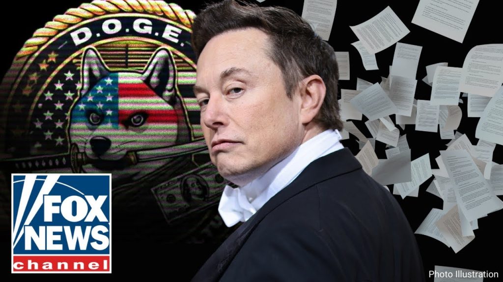 DODGING DOGE: Elon Musk’s government efficiency team bombarded with lawsuits